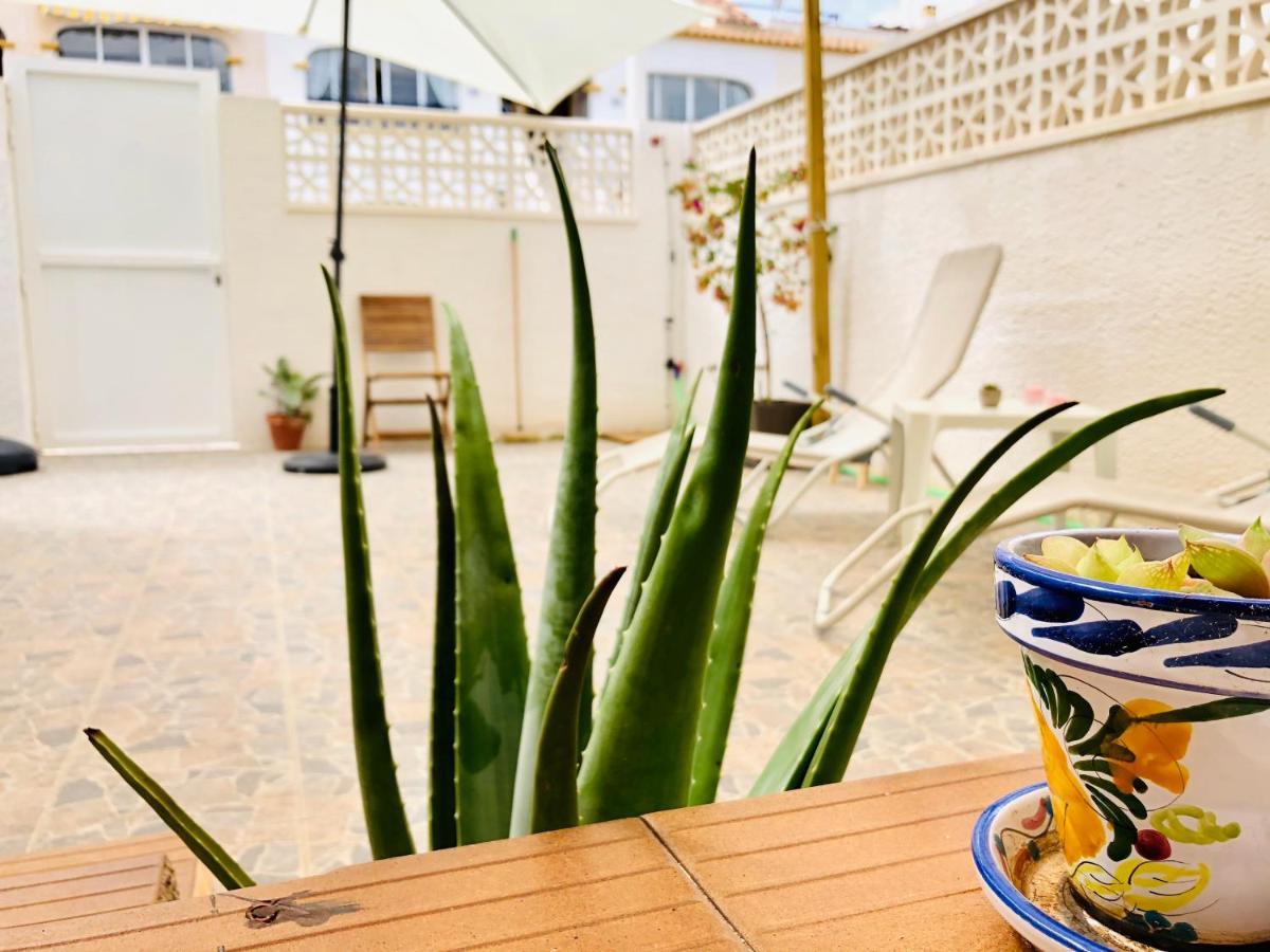 Mediterranean House グラン・アラカント エクステリア 写真