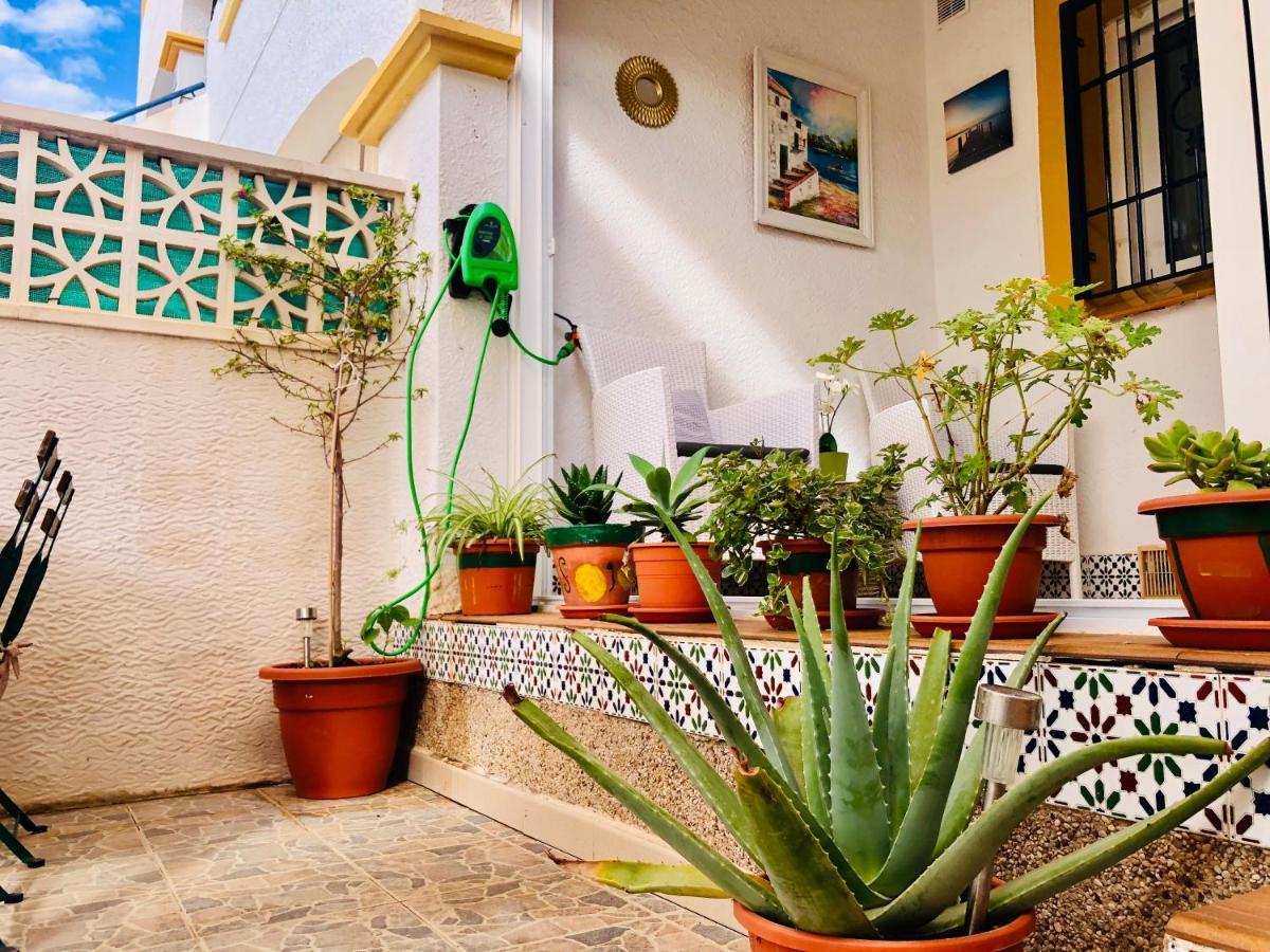 Mediterranean House グラン・アラカント エクステリア 写真